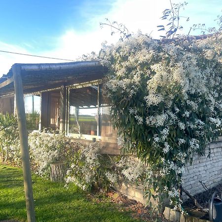 Le P'Tit Nid De Gabriel Les Touches-de-Périgny Exterior foto